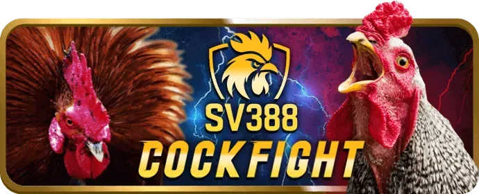 Tải 2bong88 APK cho Android