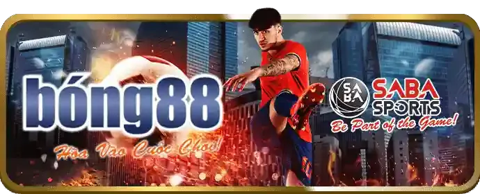 Tin tức về đối tác và giải đấu thể thao 2bong88